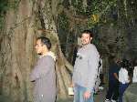 666 photo